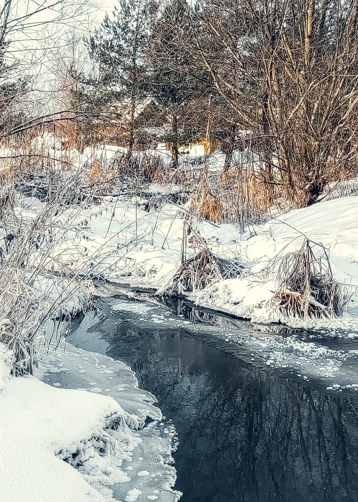 Photograph by Ольга Голованова
