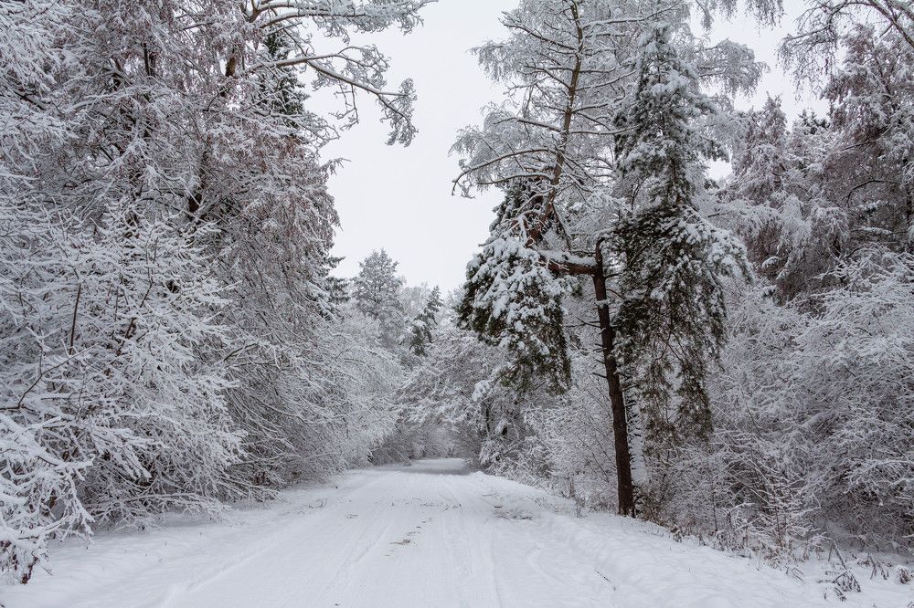 Фотография автора Александр Буренко