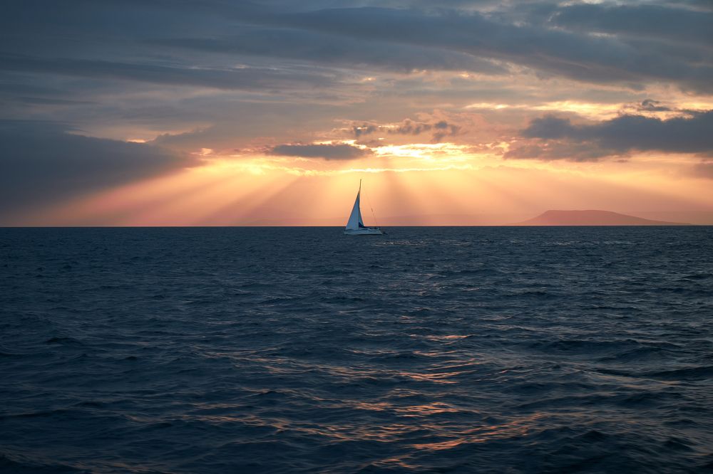 Photograph by Владимир Бородин