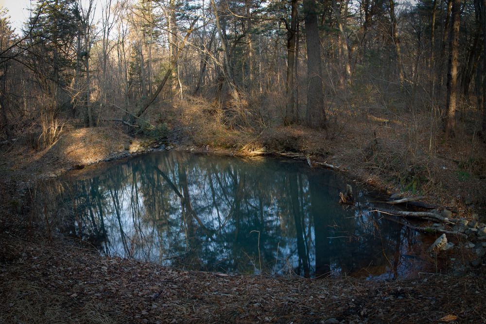 Photograph by Владимир Бородин