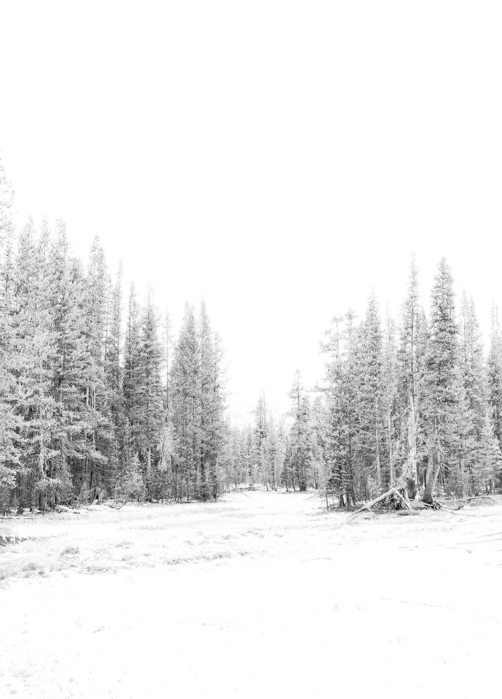 Photograph by Milton Sosa Mc Donald