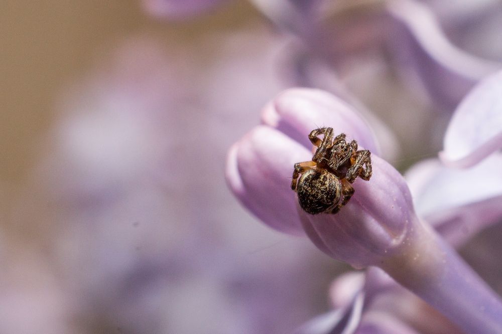 Photograph by Анна Крюкова