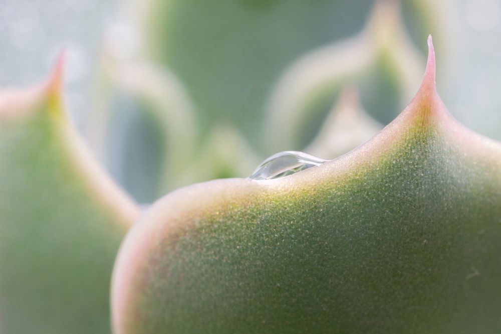 Photograph by Анна Крюкова