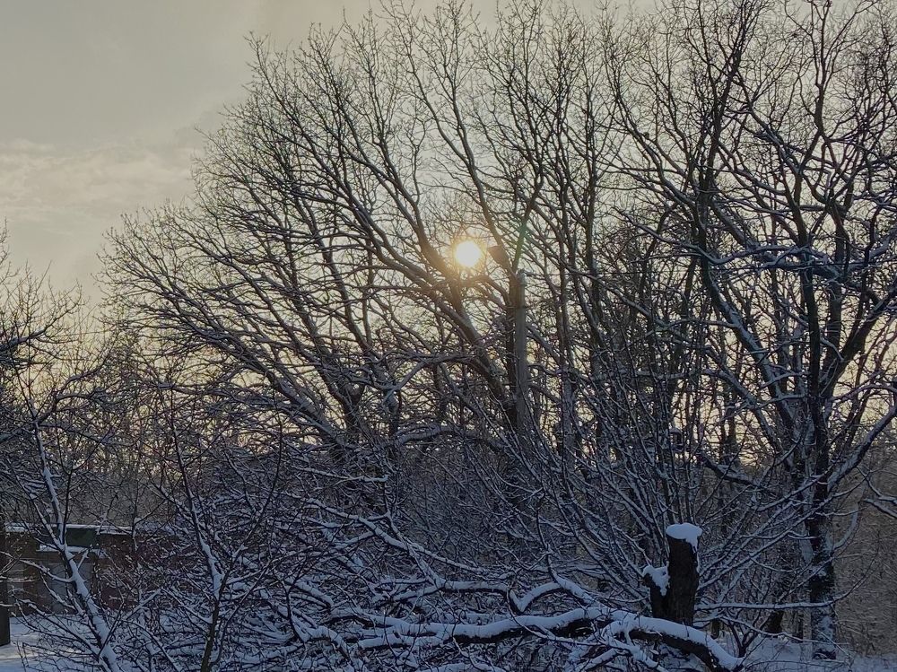 Photograph by Oksana lukyanova