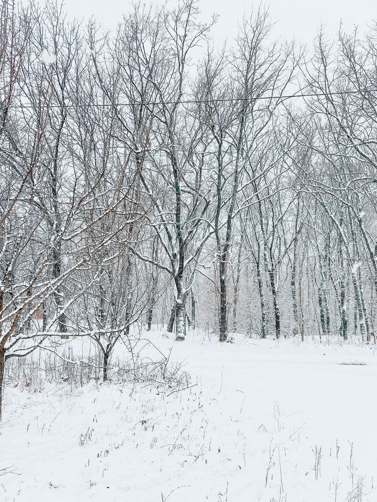 Photograph by Oksana lukyanova