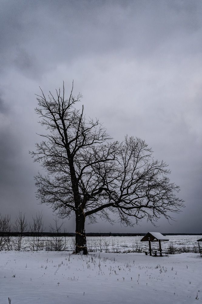 Фотография автора Pavel Skvortsov