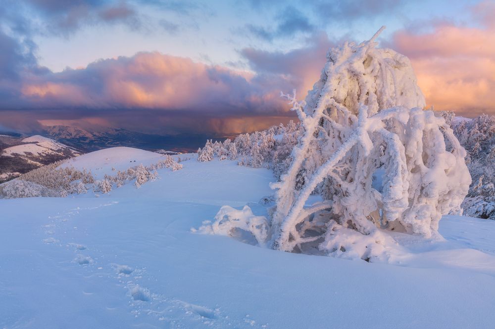 Photograph by Konstantin Voronov