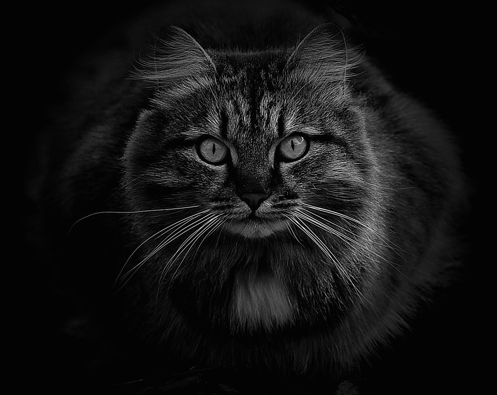 Photograph by Зоя Быкова