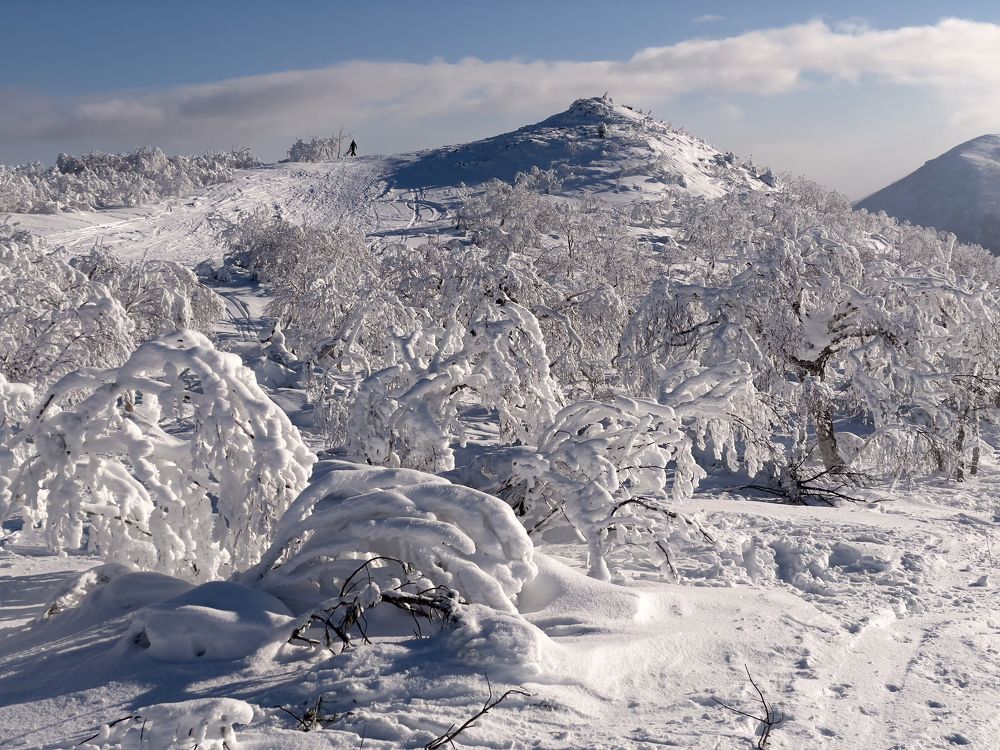 Фотография автора Vadim Boronenkov