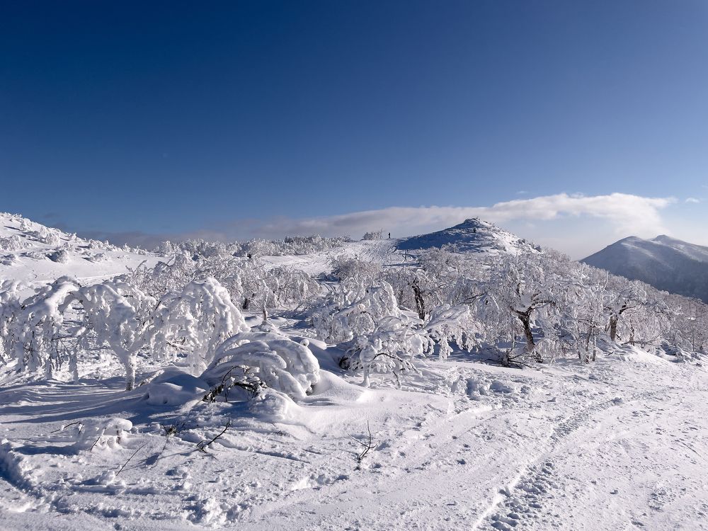 Фотография автора Vadim Boronenkov