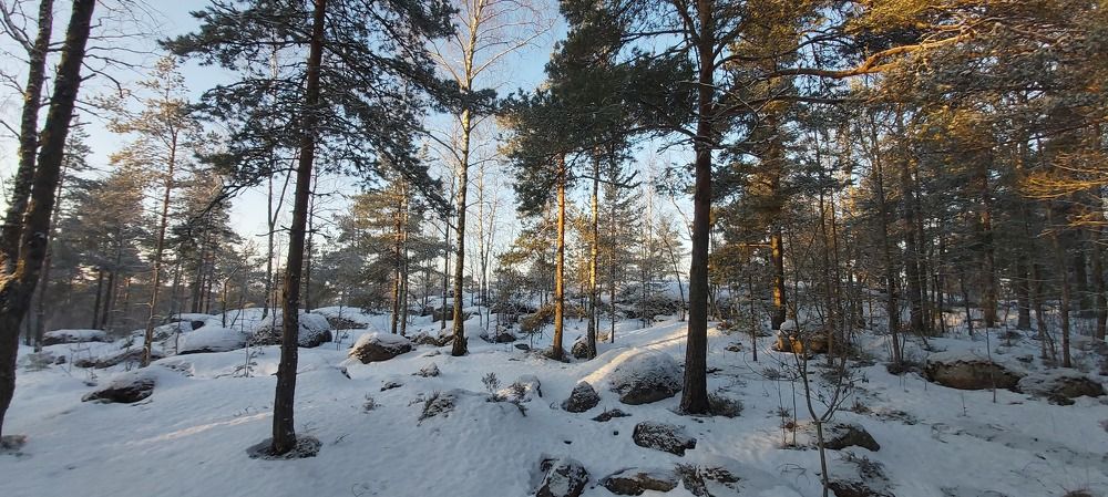 Photograph by Елена Немешаева