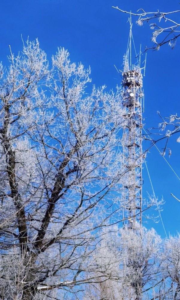 Photograph by Ольга