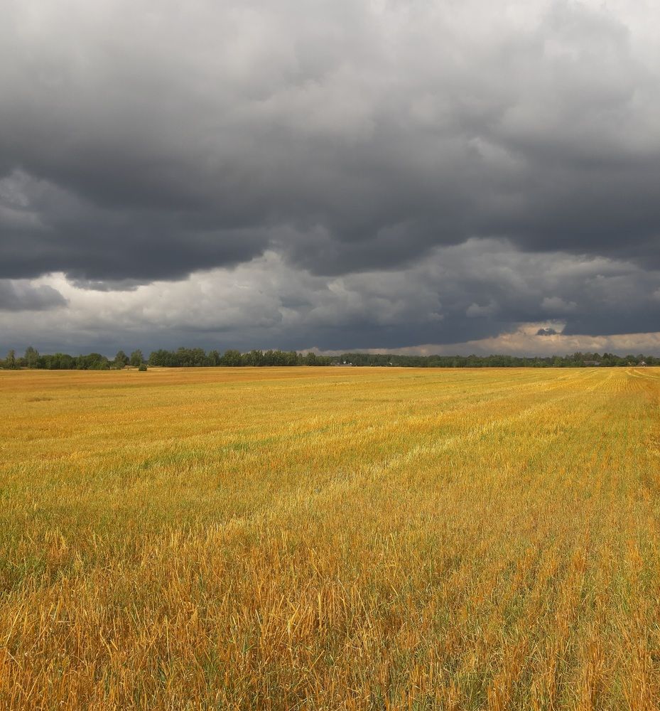 Photograph by Олеся Петрова