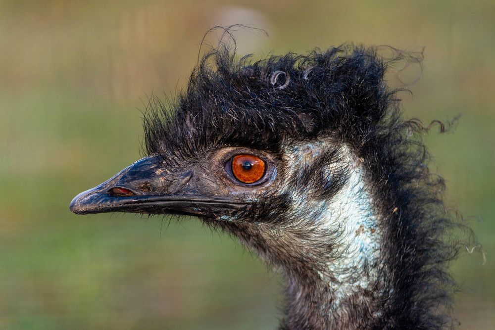 Фотография автора Александр Буренко