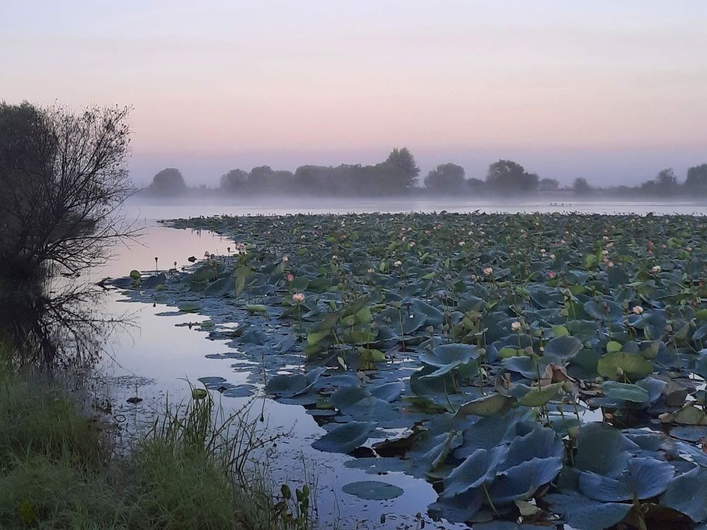 Photograph by Любовь Войтишина