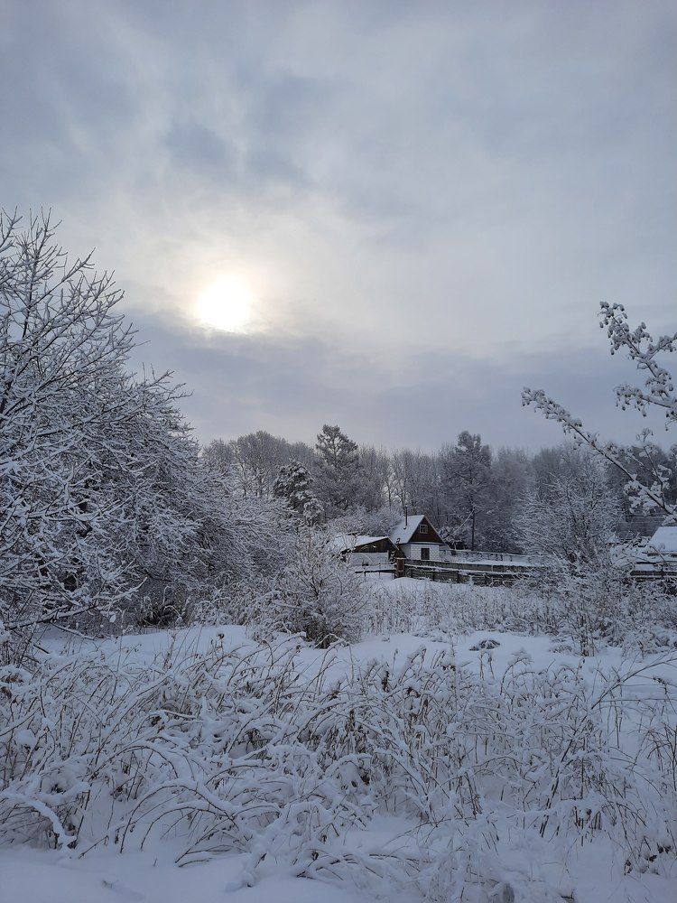 Photograph by Любовь Войтишина
