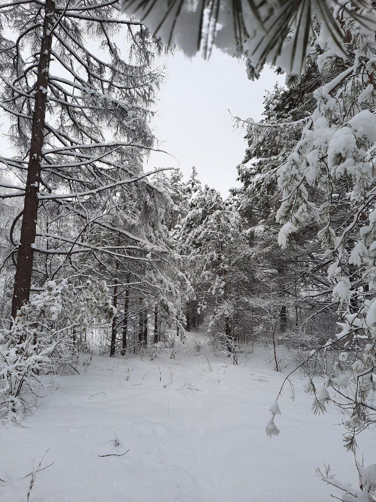 Photograph by Любовь Войтишина