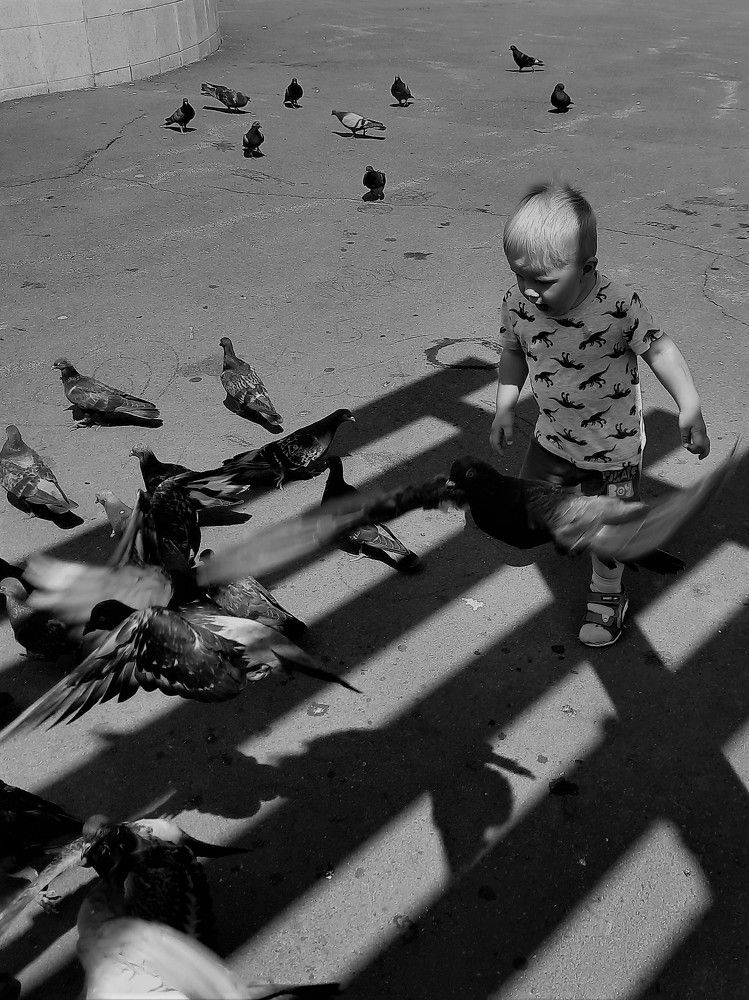 Photograph by Любовь Войтишина