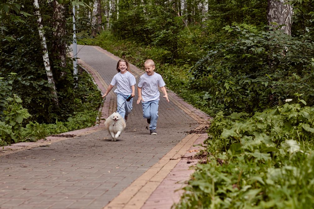 Photograph by Злата Новикова