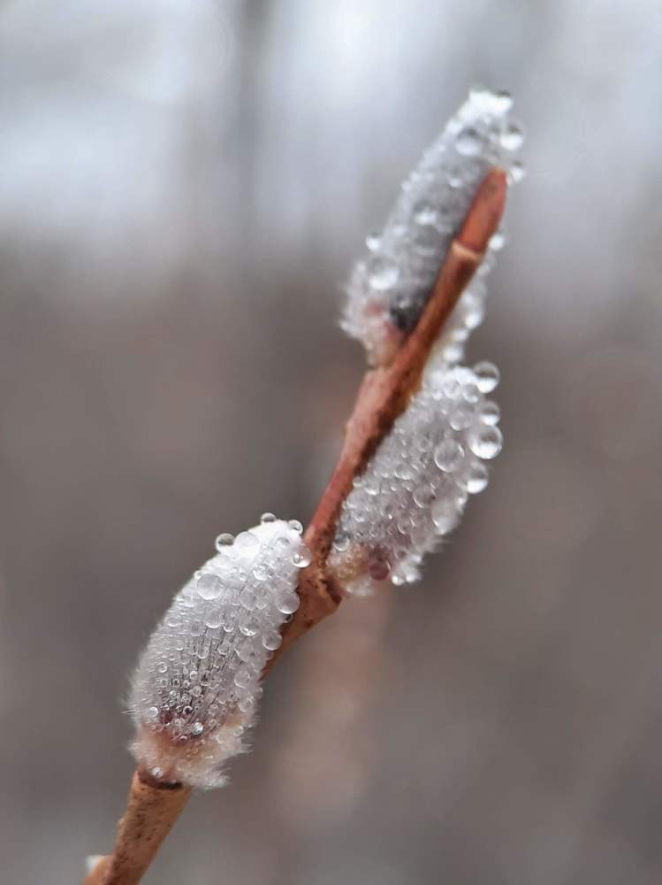 Photograph by Любовь Войтишина