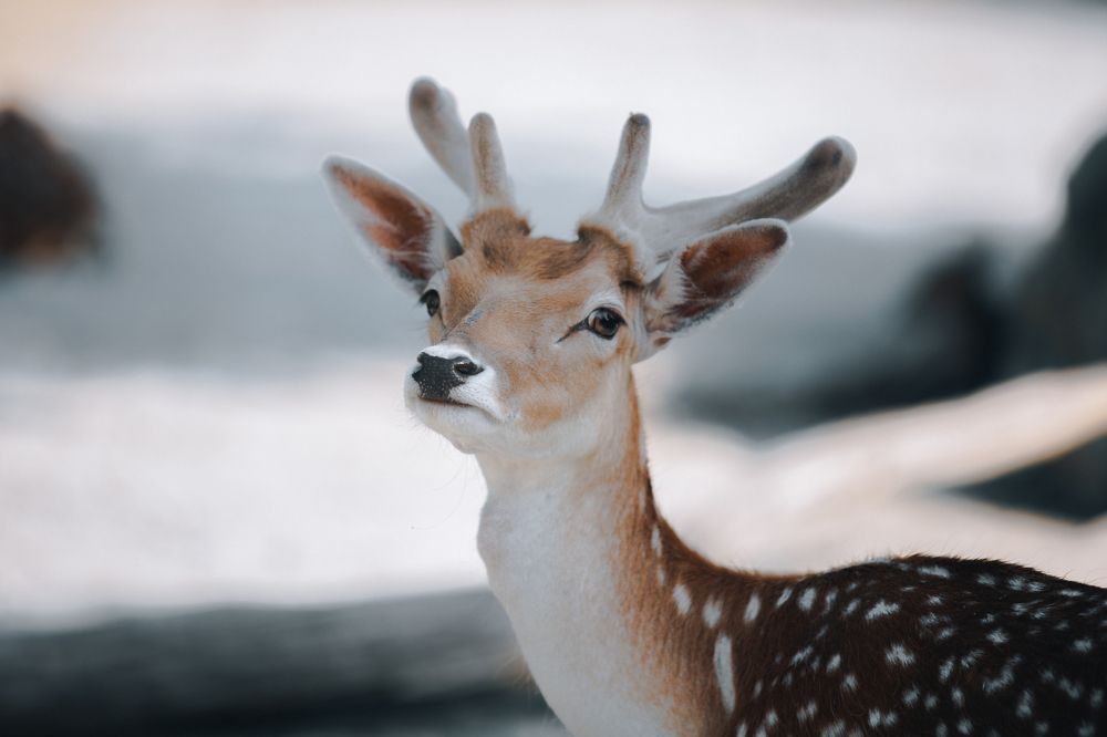 Photograph by Потёмкин Денис