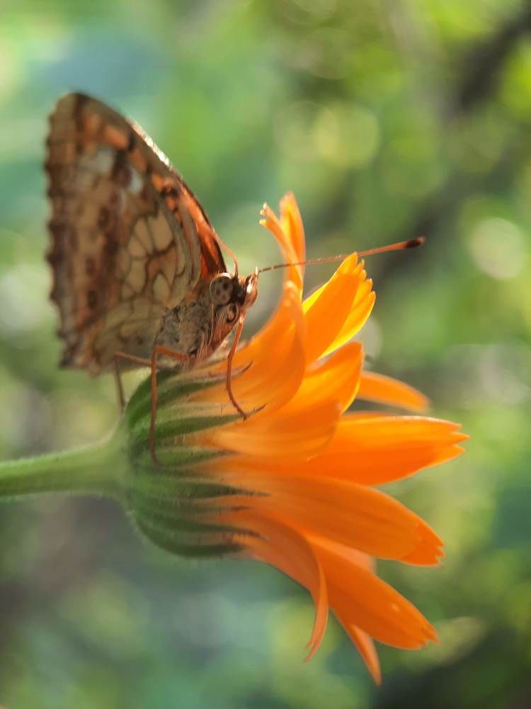 Photograph by Любовь Войтишина