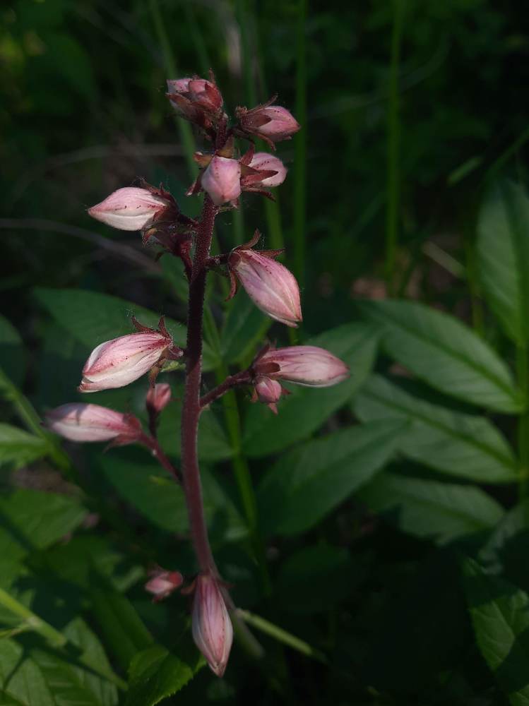 Photograph by Любовь Войтишина