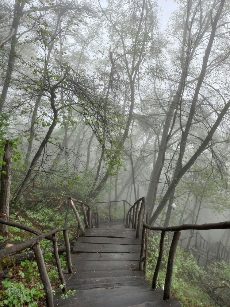Фотография автора Илья Большаков