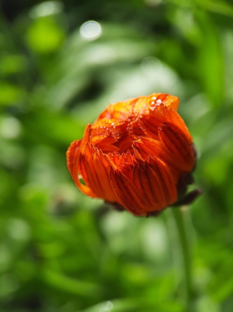 Photograph by Любовь Войтишина