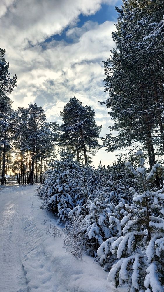 Photograph by Ксения Лукина