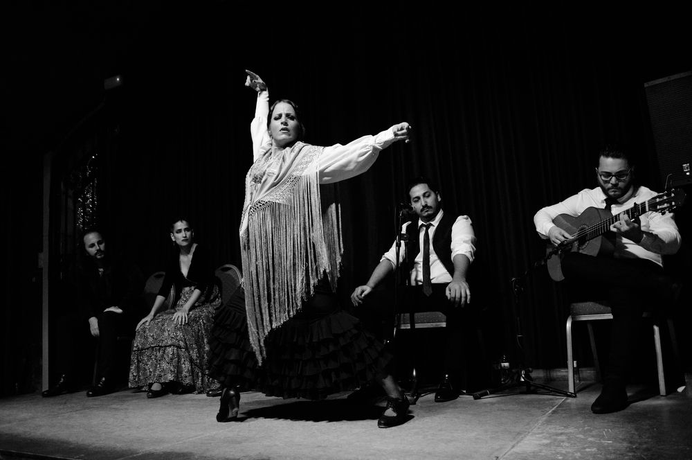 Flamenco Show, Barcelona, 2022