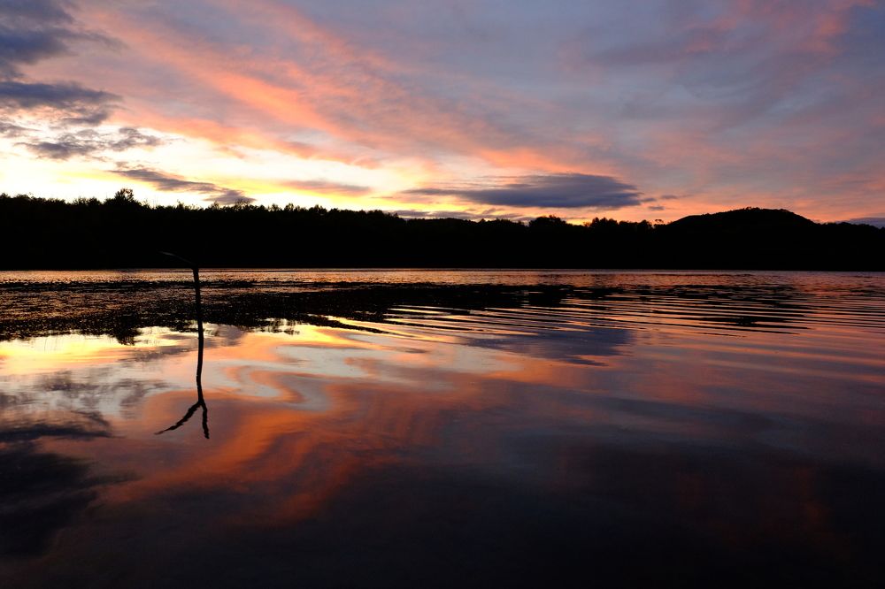 Photograph by Владимир Бородин