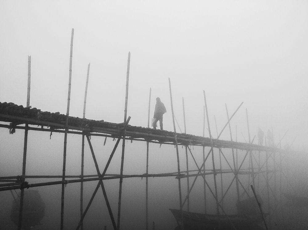 Photo #8608656