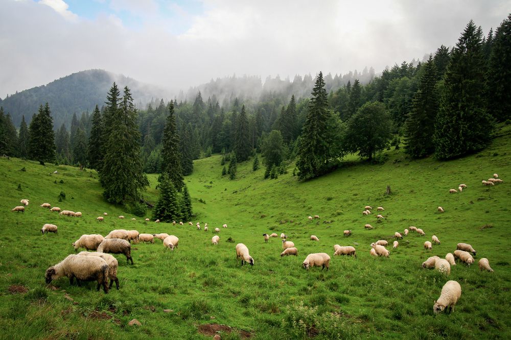 Photograph by Borsi Balázs