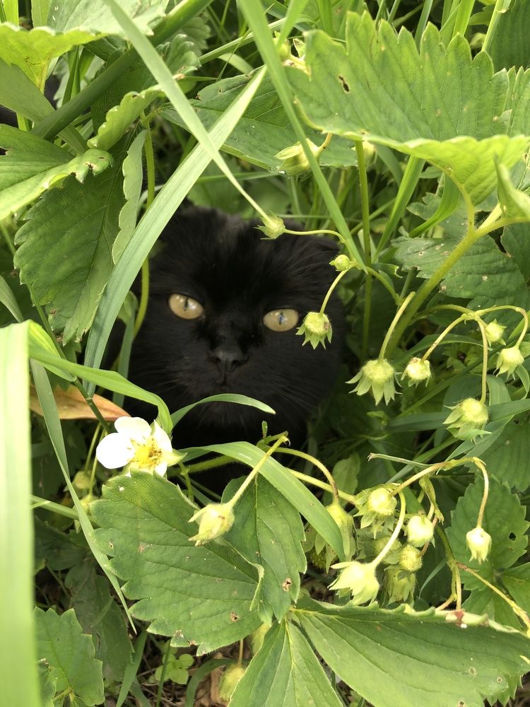 Photograph by Ксения