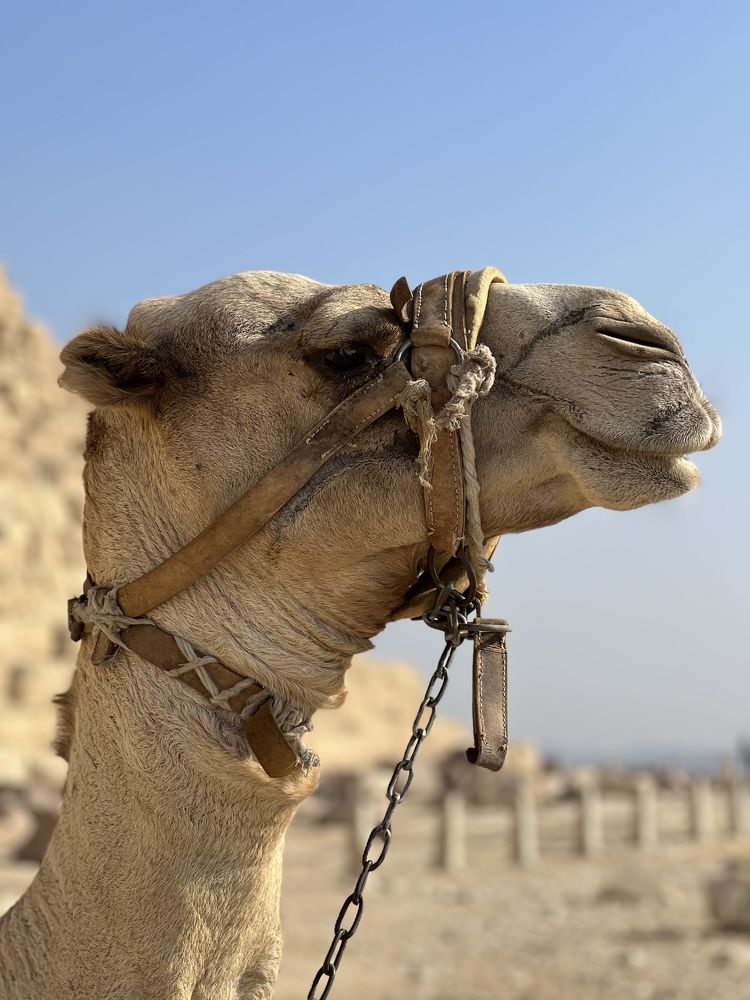 Photograph by Кристина Сухотина