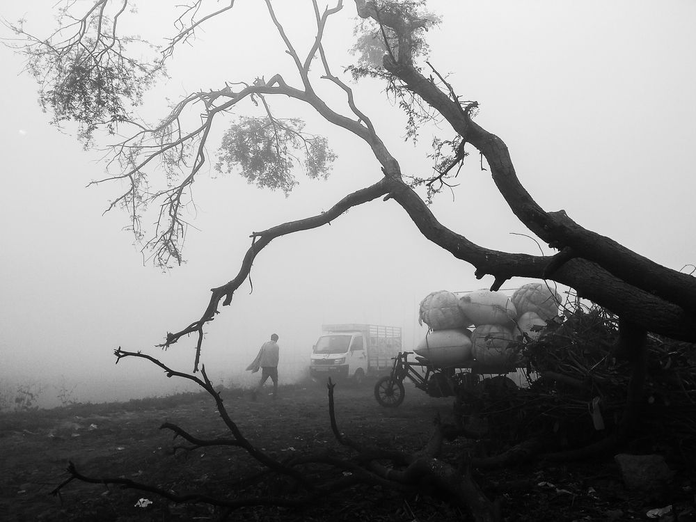 Photo #8608733
