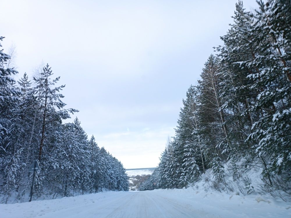 Photograph by Валерий Безбородов