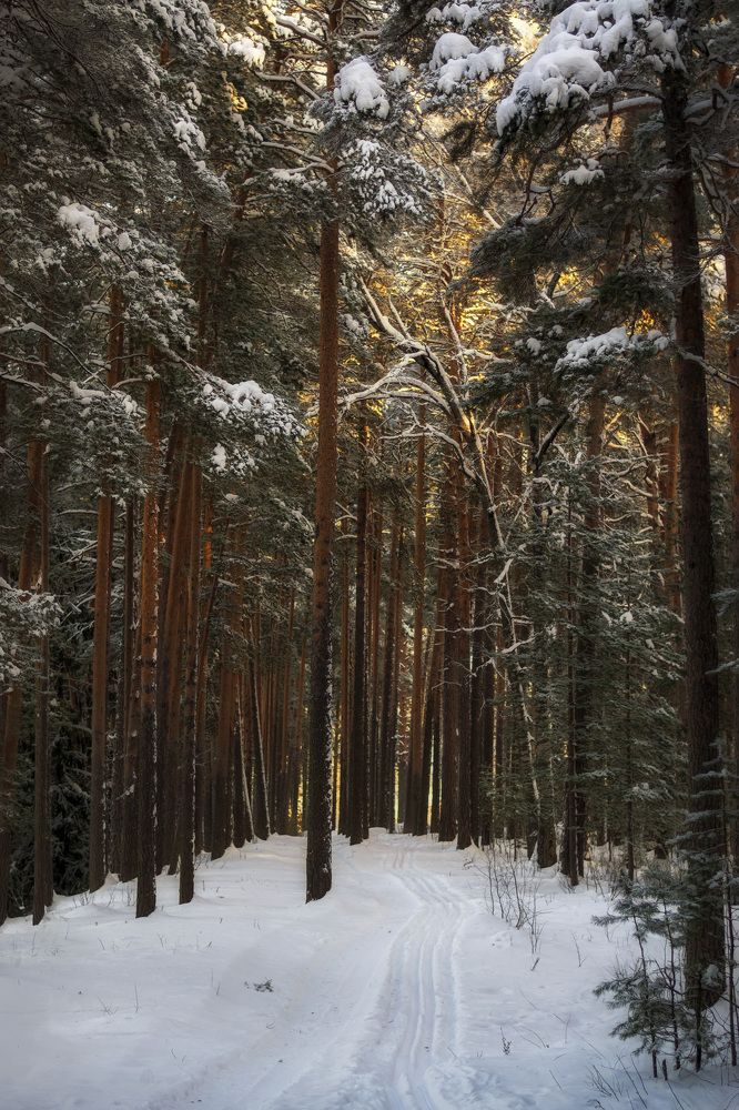 Photograph by Елена Баженова