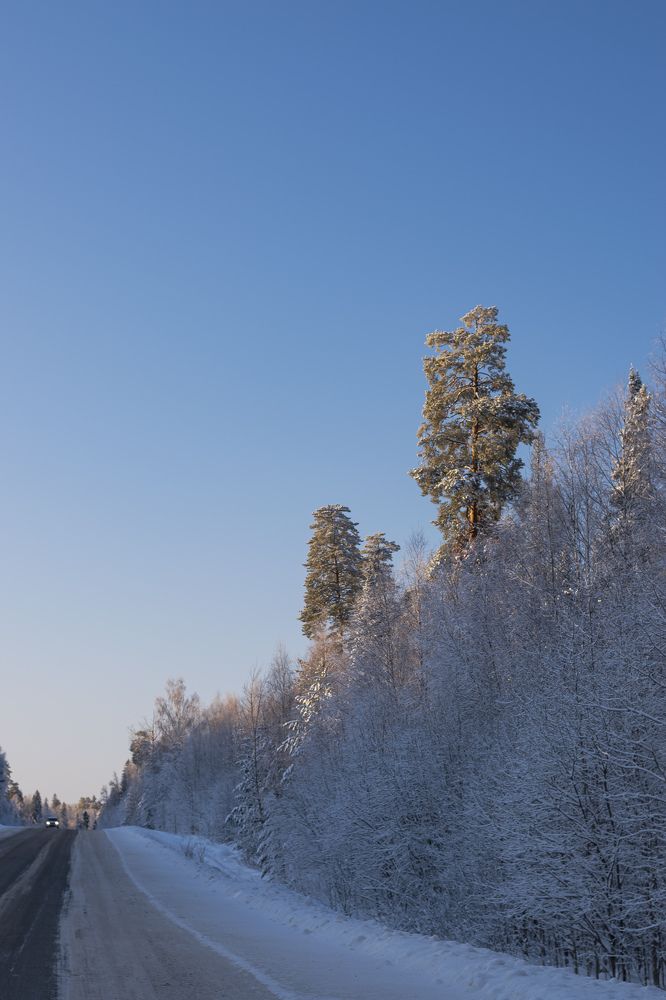 Photograph by Елена Баженова