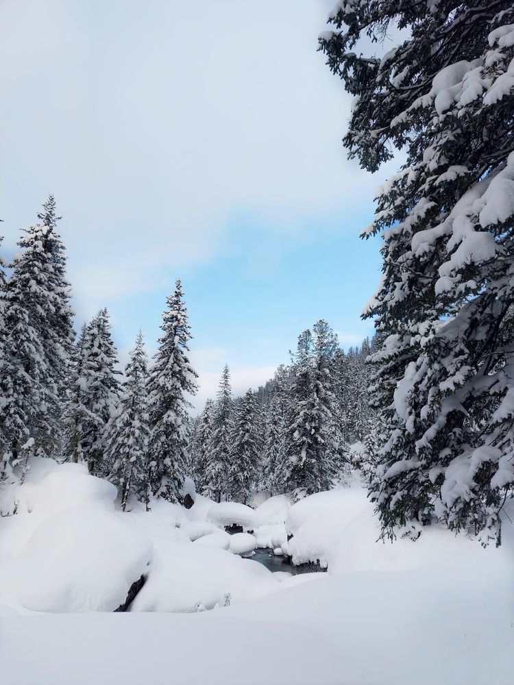 Photograph by Галина Беляева