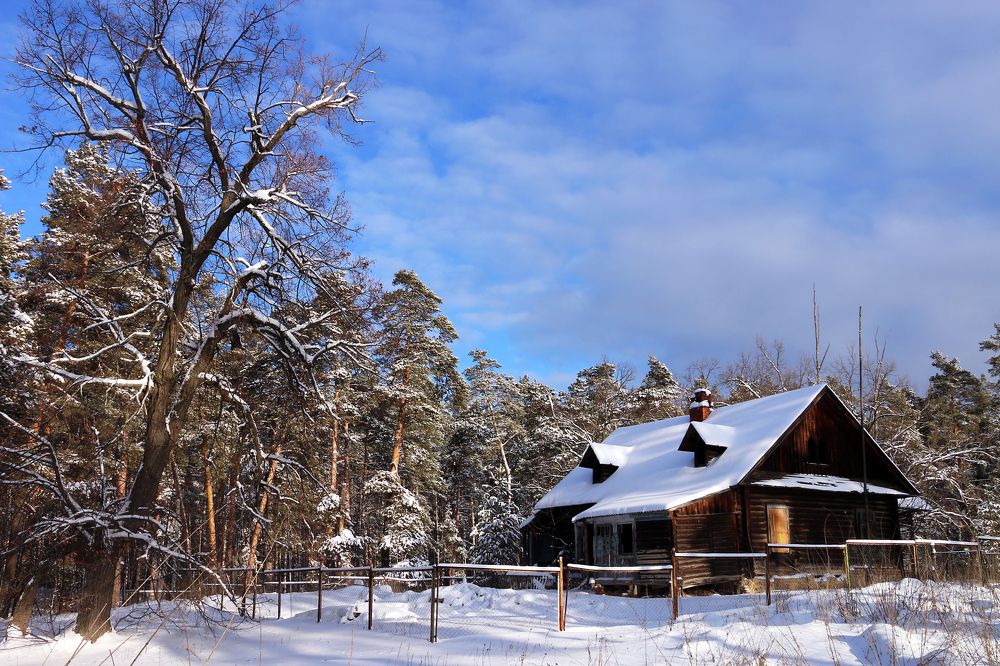 Воронежская область