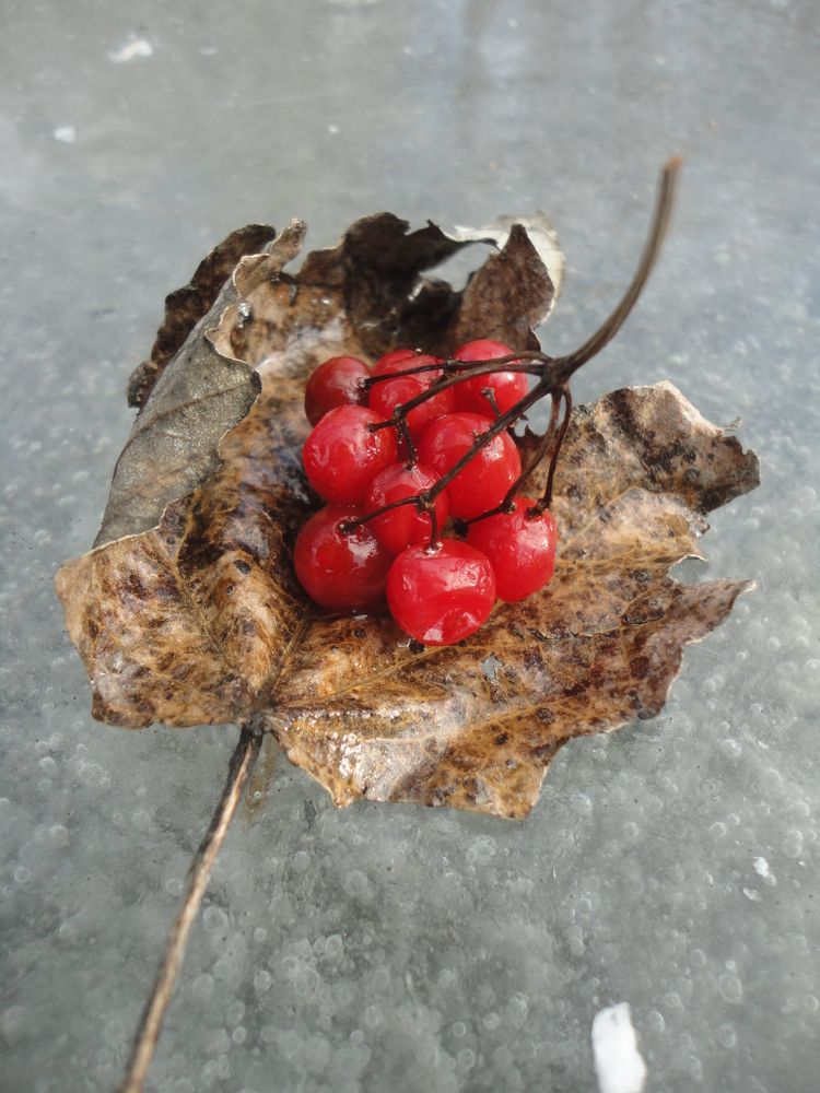 Photograph by Дмитрий Соколов