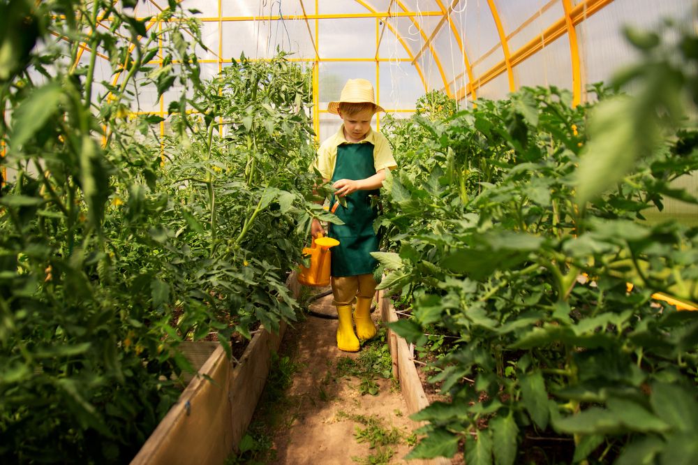 Photograph by Наталья Латыпова