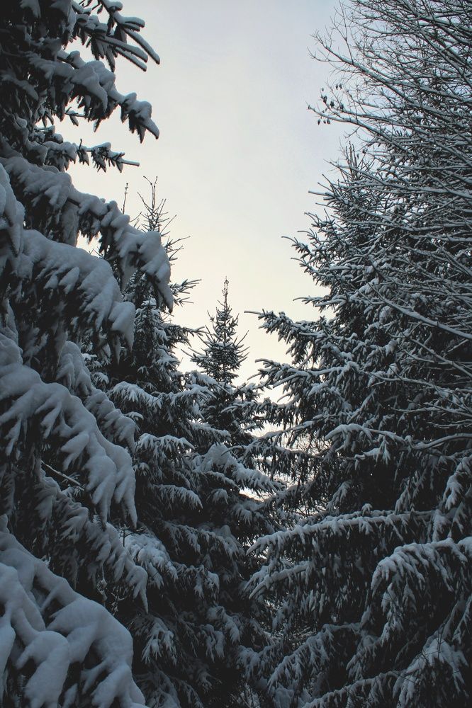 Photograph by Виктория Старовойтова