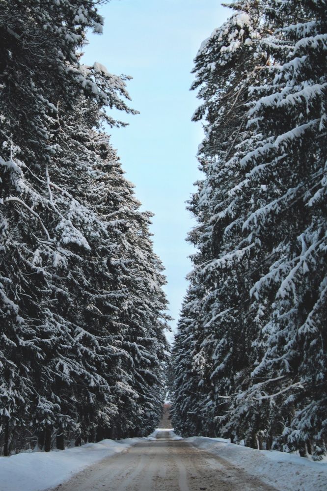 Photograph by Виктория Старовойтова