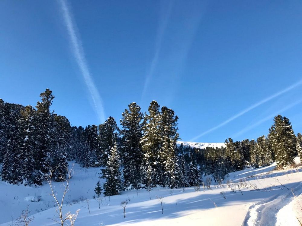 Photograph by Galina Leskova