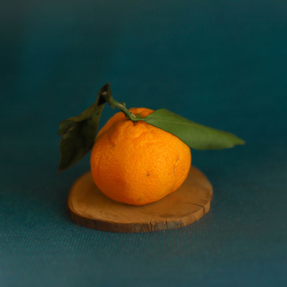 Photograph by Ирина Соколова