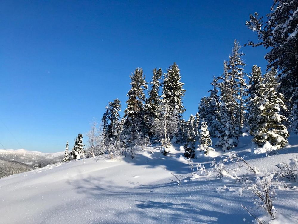 Photograph by Galina Leskova