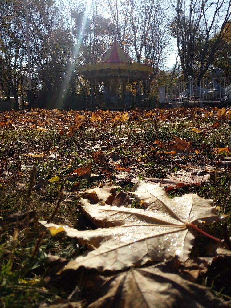 Photo #8609015